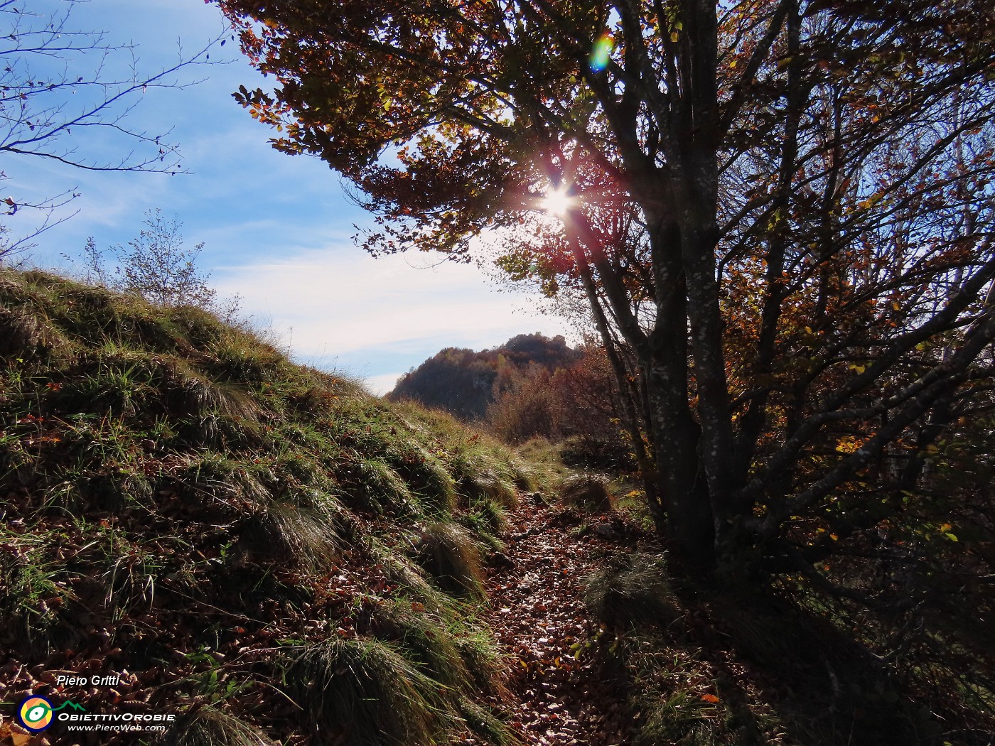 17 Splende il sole tra le piante colorate d'autunno.JPG